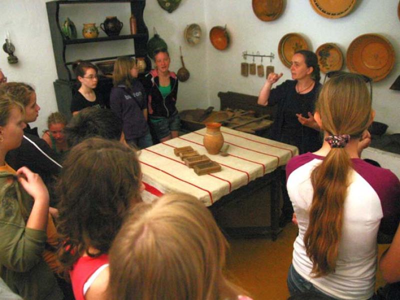 Erdei iskolás képek