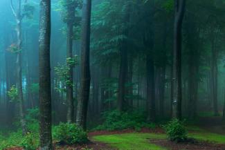 erdei iskola erdei iskola