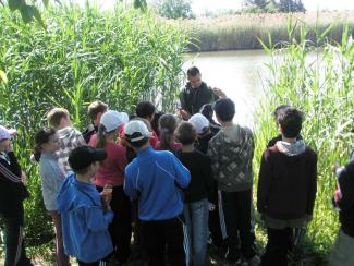Erdei iskola szervezése: kempingünk hosszú távon áll az iskolák rendelkezésére!